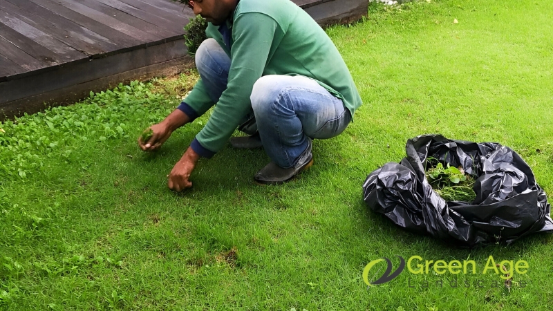 weeding-greenage-landscaping-services-singapore-1