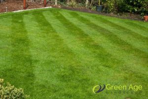 6 Common Mistakes Homeowners Make During DIY Grass Cutting in Singapore 4 alternate-grass-cutting-pattern-6-common-mistakes-homeowners-make-during-diy-grass-cutting-greenage-landscaping-services-singapore