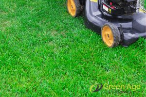 alternate-grass-cutting-patterns-with-each-session-7-best-practices-for-safe-and-efficient-diy-grass-cutting-in-singapore-grass-cutting-greenage-landscaping-services-singapore