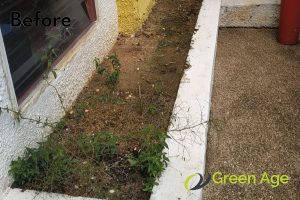 before-grass-planting-long-form-project-greenage-landscaping-services-singapore-landed-river-valley