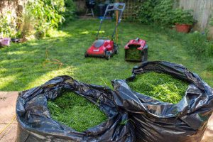 6 Common Mistakes Homeowners Make During DIY Grass Cutting in Singapore 5 cleanup-debris-6-common-mistakes-homeowners-make-during-diy-grass-cutting-greenage-landscaping-services-singapore