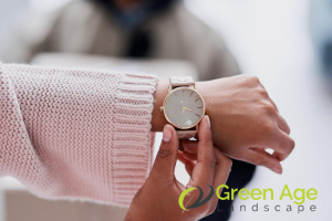 All You Need to Know About Weeding in Singapore 7 comparing-diy-weeding-vs-professional-weeding-time-and-effort-weeding-greenage-landscaping-services-singapore