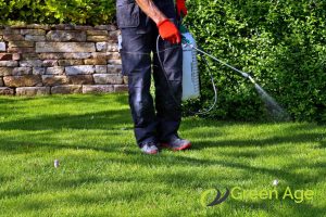 5 Tips for Preventing Weed Growth in Singapore 5 considering-chemical-weed-killers-5-tips-for-preventing-weed-growth-in-singapore-weeding-greenage-landscaping-services-singapore
