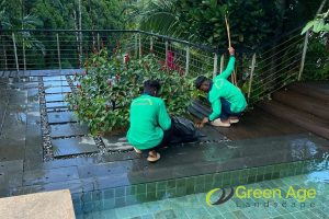 continuous-garden-maintenance-6-common-misconceptions-about-professional-garden-maintenance-services-greenage-landscaping-services-singapore