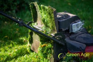 6 Common Mistakes Homeowners Make During DIY Grass Cutting in Singapore 3 cutting-wet-grass-6-common-mistakes-homeowners-make-during-diy-grass-cutting-greenage-landscaping-services-singapore