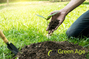 DIY Garden Maintenance: A Guide To Choosing The Right Garden Soil in Singapore 15 factors-to-consider-when-buying-garden-soil-nutrient-levels-garden-maintenance-greenage-landscaping-services-singapore