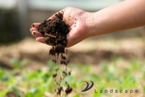DIY Garden Maintenance: A Guide To Choosing The Right Garden Soil in Singapore 16 factors-to-consider-when-buying-garden-soil-soil-texture-garden-maintenance-greenage-landscaping-services-singapore
