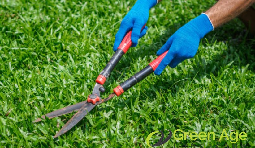 featured-7-best-practices-for-safe-and-efficient-diy-grass-cutting-in-singapore-grass-cutting-greenage-landscaping-services-singapore