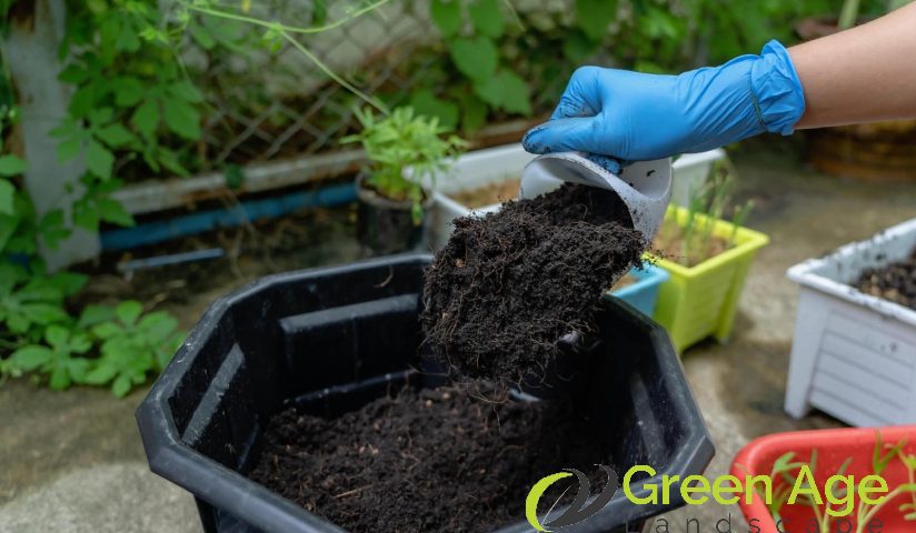 featured-diy-garden-maintenance-a-guide-to-choosing-the-right-garden-soil-in-singapore-garden-maintenance-greenage-landscaping-services-singapore