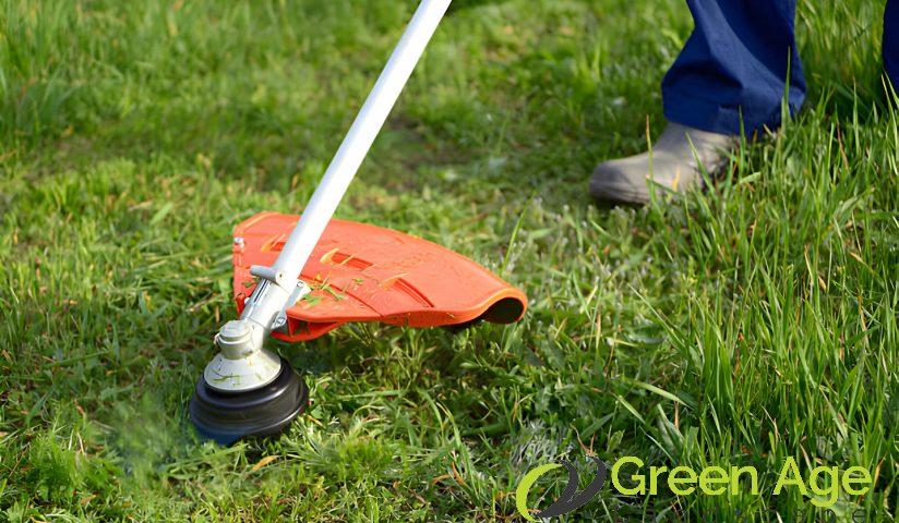 featured-image-cutting-grass-6-common-mistakes-homeowners-make-during-diy-grass-cutting-greenage-landscaping-services-singapore