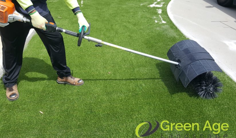 featured-professional-grass-cutting-solution-for-common-grass-issues-in-singapore-grass-cutting-greenage-landscaping-services-singapore