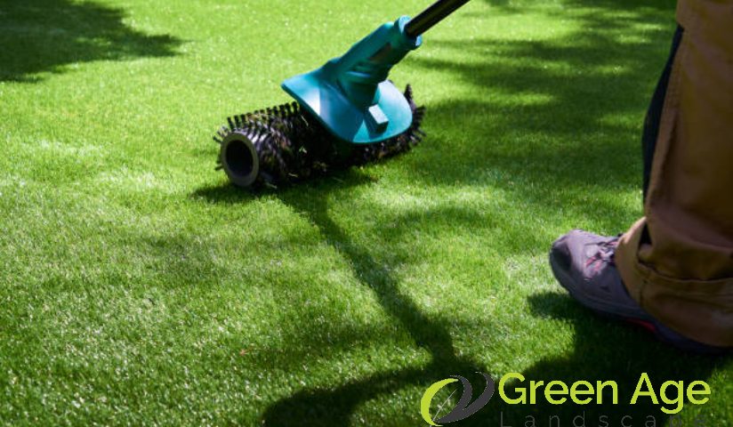 featured-the-importance-of-regular-grass-cutting-for-maintaining-a-neat-and-healthy-garden-in-singapore-grass-cutting-greenage-landscaping-services-singapore