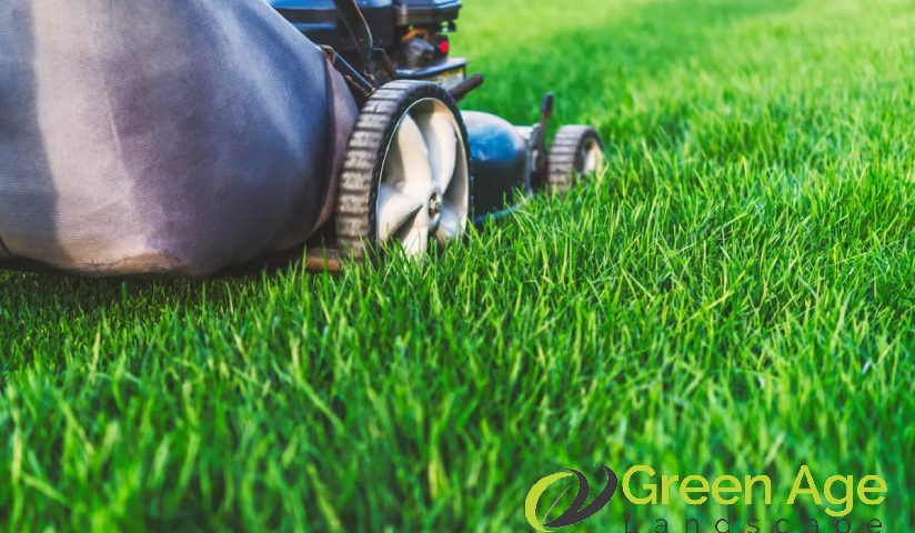 featured-understanding-the-cost-factors-of-professional-grass-cutting-in-singapore-grass-cutting-greenage-landscaping-services-singapore