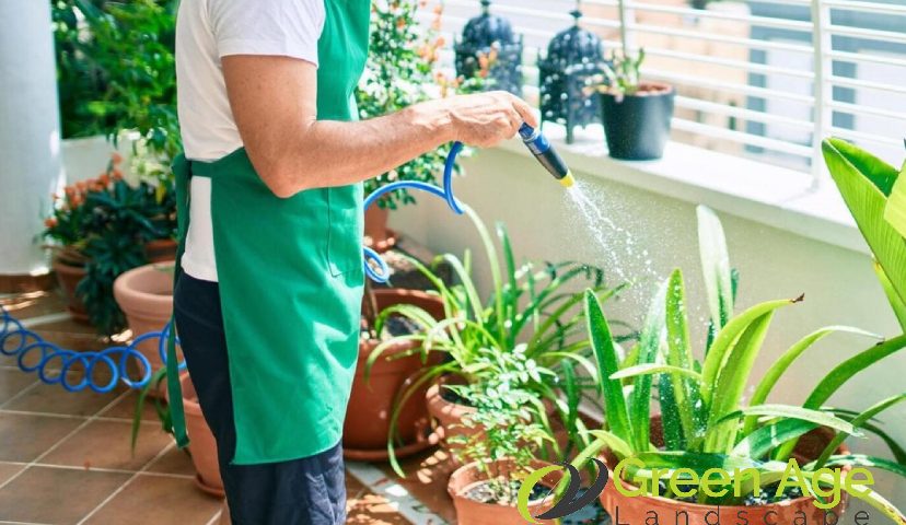 featured-why-should-you-engage-garden-maintenance-services-regularly-in-singapore-garden-maintenance-greenage-landscaping-services-singapore
