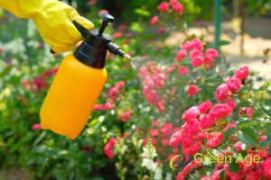 13 Important Tools and Equipment You Need to Have for Garden Maintenance in Singapore 6 garden-sprayer-13-important-tools-and-equipment-you-need-to-have-for-garden-maintenance-greenage-landscaping-services-singapore