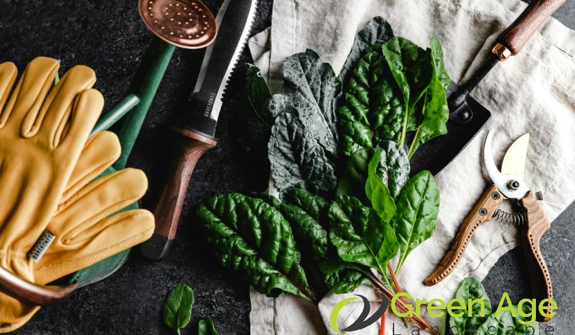 garden-tools-13-important-tools-and-equipment-you-need-to-have-for-garden-maintenance-greenage-landscaping-services-singapore