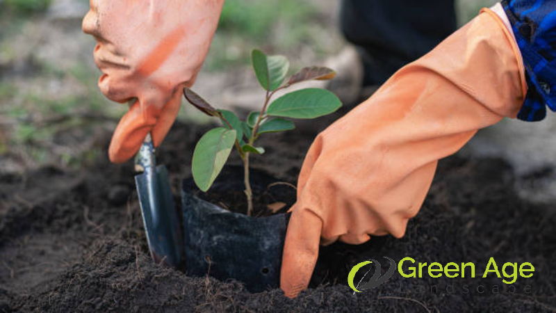 Gardener Service Singapore 1 gardening-featured-gardener-service-singapore-greenage-landscaping-services-singapore