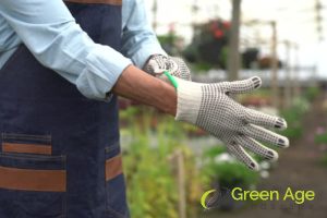 hand-gloves-5-essential-diy-plant-pruning-tools-and-equipment-plant-pruning-greenage-landscaping-services-singapore