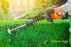 hedge-trimming-why-plants-need-pruning-plant-pruning-greenage-landscaping-services-singapore