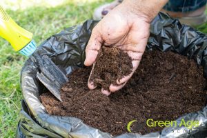 DIY Garden Maintenance: A Guide To Choosing The Right Garden Soil in Singapore 13 importance-of-choosing-the-right-garden-soil-type-diy-garden-maintenance-a-guide-to-choosing-the-right-garden-soil-in-singapore-garden-maintenance-greenage-landscaping-services-singapore