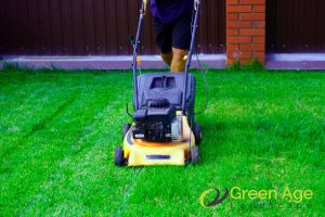 Understanding the Cost Factors of Professional Grass Cutting in Singapore 5 labor-costs-understanding-the-cost-factors-of-professional-grass-cutting-in-singapore-grass-cutting-greenage-landscaping-services-singapore