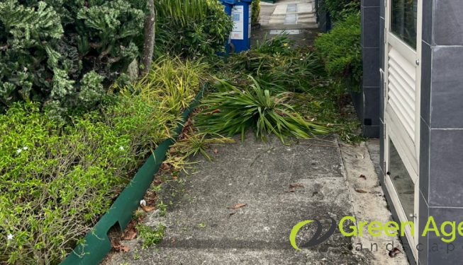 landscape-maintenance-greenage-landscaping-maintenance-singapore-landed-serangoon-5