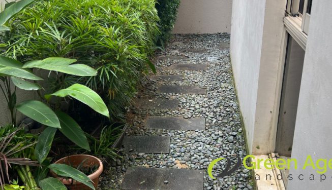 landscape-maintenance-greenage-landscaping-maintenance-singapore-landed-serangoon-8