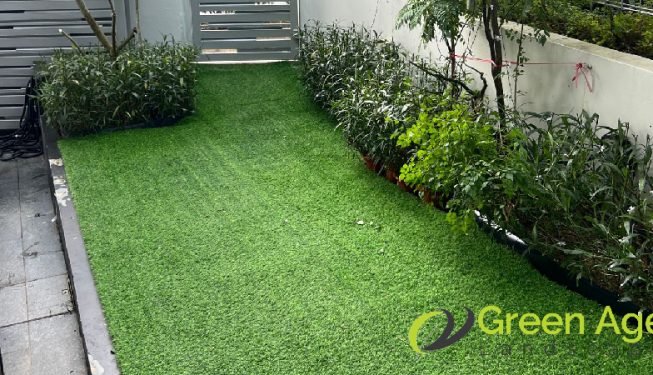 landscape-maintenance-greenage-landscaping-services-singapore-landed-braddell-4