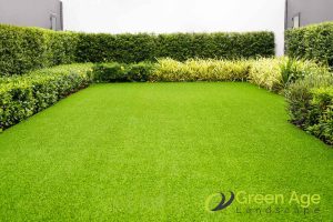 How Often Should Professional Grass Cutting Be Done for Your Garden in Singapore? 3 lawn-health-how-often-should-professional-grass-cutting-be-done-for-your-garden-in-singapore-grass-cutting-greenage-landscaping-services-singapore