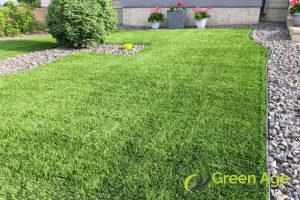 Understanding the Cost Factors of Professional Grass Cutting in Singapore 2 lawn-size-understanding-the-cost-factors-of-professional-grass-cutting-in-singapore-grass-cutting-greenage-landscaping-services-singapore