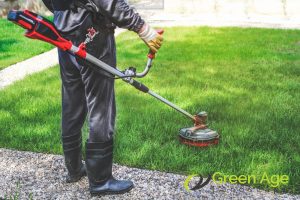 Hand Weeding vs. Mechanical Weeding in Singapore 3 mechanical-weeding-hand-weeding-vs-mechanical-weeding-in-singapore-weeding-greenage-landscaping-services-singapore