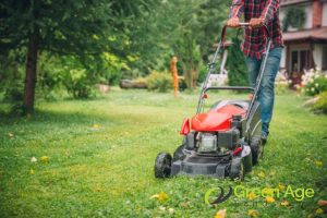 mowing-maintenance-5-professional-weeding-cost-factors-weeding-greenage-landscaping-services-singapore