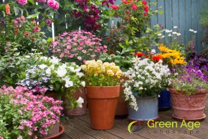 5 Types of House Gardens in Singapore and Why They Should Undergo Professional Garden Maintenance 13 ornamental-gardens-5-types-of-house-gardens-in-singapore-and-why-they-should-undergo-professional-garden-maintenance-greenage-landscaping-services-singapore