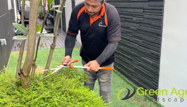 plant-trimming-services-greenage-landscaping-services-singapore-landed-braddell-2