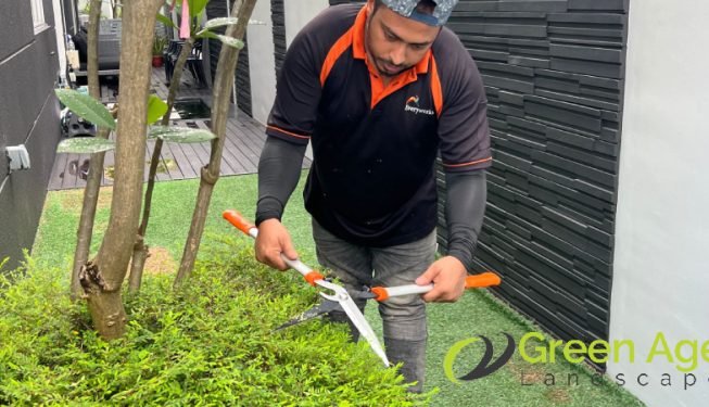 plant-trimming-services-greenage-landscaping-services-singapore-landed-braddell-3