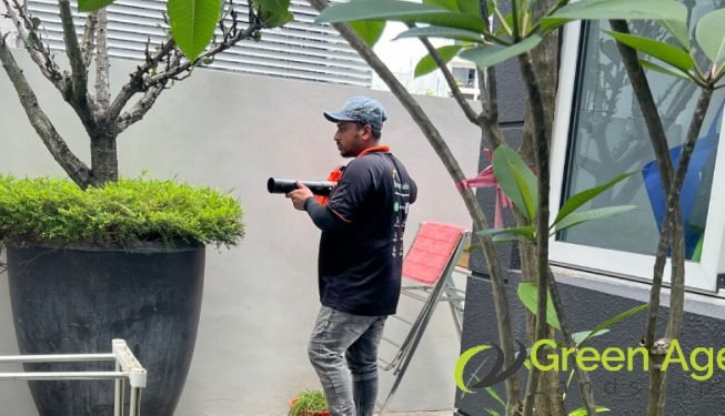 plant-trimming-services-greenage-landscaping-services-singapore-landed-braddell-4