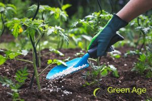 putting-harmful-chemical-6-common-misconceptions-about-professional-garden-maintenance-services-greenage-landscaping-services-singapore
