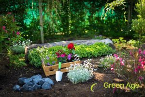 residential-garden-6-common-misconceptions-about-professional-garden-maintenance-services-greenage-landscaping-services-singapore