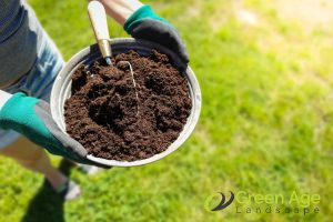 DIY Garden Maintenance: A Guide To Choosing The Right Garden Soil in Singapore 12 role-of-garden-soil-in-garden-maintenance-diy-garden-maintenance-a-guide-to-choosing-the-right-garden-soil-in-singapore-garden-maintenance-greenage-landscaping-services-singapore