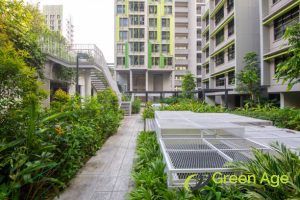 5 Types of House Gardens in Singapore and Why They Should Undergo Professional Garden Maintenance 11 rooftop-gardens-5-types-of-house-gardens-in-singapore-and-why-they-should-undergo-professional-garden-maintenance-greenage-landscaping-services-singapore