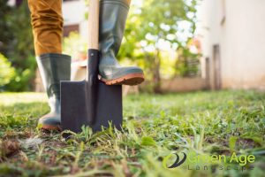 safety-boots-5-essential-diy-plant-pruning-tools-and-equipment-plant-pruning-greenage-landscaping-services-singapore