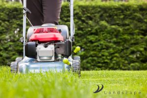 select-a-lawn-mower-suitable-for-your-lawn-size-7-best-practices-for-safe-and-efficient-diy-grass-cutting-in-singapore-grass-cutting-greenage-landscaping-services-singapore
