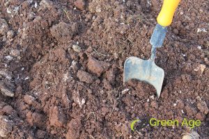 8 Signs You Require Professional Garden Maintenance Services in Singapore 4 soil-depletion-8-signs-you-require-professional-garden-maintenance-services-garden-maintenance-greenage-landscaping-services-singapore