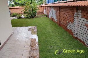 space-management-6-skills-you-require-for-diy-landscaping-services-long-form-greenage-landscaping-services-singapore