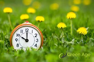 time-and-effort-saving-5-benefits-of-hiring-professional-plant-pruning-services-greenage-landscaping-services-singapore