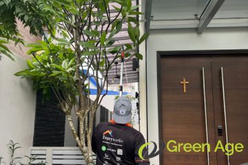 tree-trimming-services-greenage-landscaping-services-singapore-landed-braddell-1