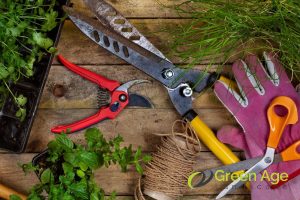 utilize-appropriate-tools-6-tips-for-diy-plant-pruning-greenage-landscaping-services-singapore