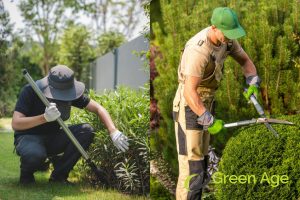 which-to-choose-diy-or-professional-landscaping-pros-and-cons-diy-landscaping-vs-professional-landscaping-in-singapore-landscaping-long-form-greenage-landscaping-services-singapore