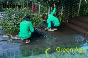 before-grass-maintenance-services-long-form-project-greenage-landscaping-services-singapore-landed-serangoon-wm