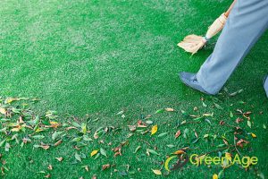 5 Essential Artificial Turf Maintenance Tips for Homeowners in Singapore 3 clear-away-any-debris-5-essential-artificial-turf-maintenance-tips-for-homeowners-in-singapore-artificial-turfing-greenage-landscaping-singapore